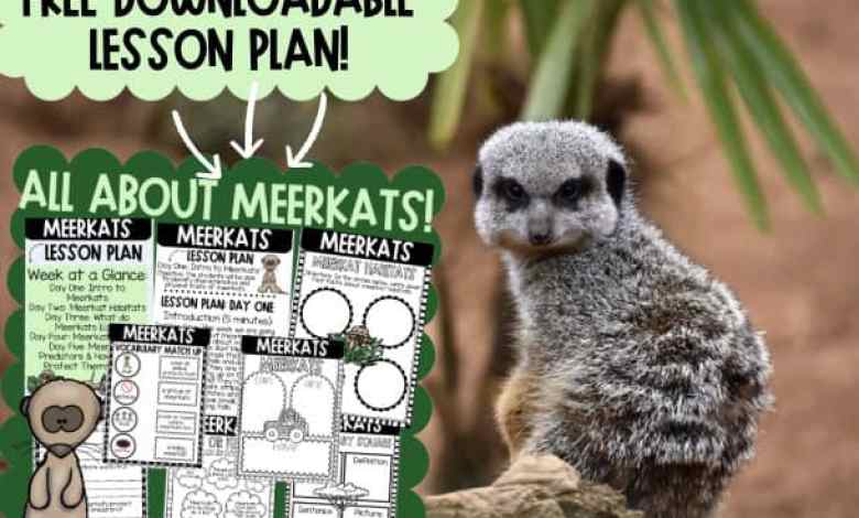A Free Unit Plan for Kids A Free Unit Plan for Kids