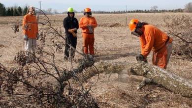 South Dakota inmates trained to help communities with storm cleanup South Dakota inmates trained to help communities with storm cleanup