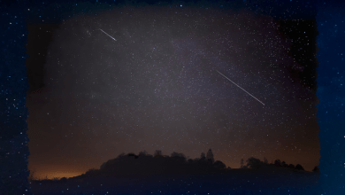 A bright moon may dim the Eta Aquarid meteor shower made up of Halley’s comet debris A bright moon may dim the Eta Aquarid meteor shower made up of Halley’s comet debris