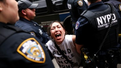 Around 100 pro-Palestinian protesters detained at NY demo Around 100 pro-Palestinian protesters detained at NY demo