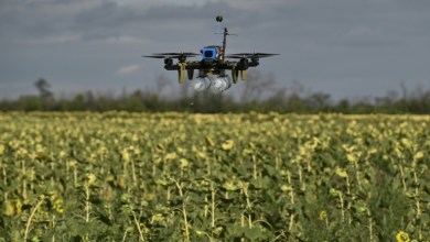 Sci-fi or battlefield reality? Ukraine’s bet on swarm drones Sci-fi or battlefield reality? Ukraine’s bet on swarm drones