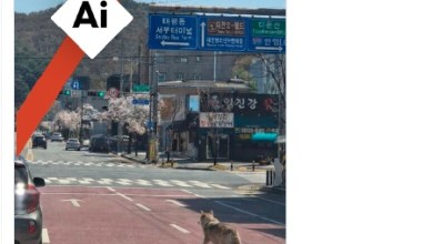 Viral image of runaway wolf in S. Korea is AI-generated Viral image of runaway wolf in S. Korea is AI-generated