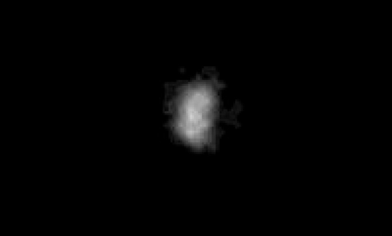 Neptune’s mysterious moon Nereid may be an original, study shows Neptune’s mysterious moon Nereid may be an original, study shows