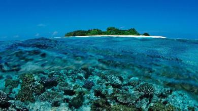 Five Italians die during cave dive in Maldives Five Italians die during cave dive in Maldives