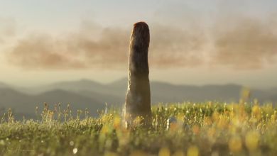 The largest life-form on land 400 million years ago was one that scientists can’t explain The largest life-form on land 400 million years ago was one that scientists can’t explain