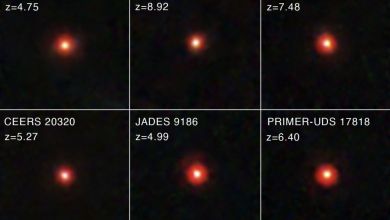 Webb telescope photos show mysterious little red dots. Astronomers don’t know what they are Webb telescope photos show mysterious little red dots. Astronomers don’t know what they are