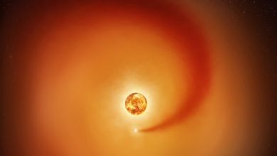 Supergiant star Betelgeuse is full of mysteries. New observations might solve the biggest one Supergiant star Betelgeuse is full of mysteries. New observations might solve the biggest one