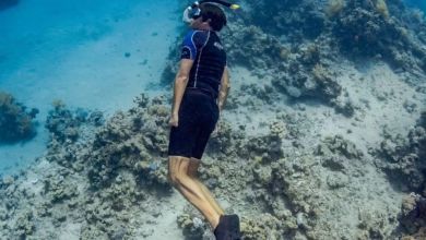 A crocodile crushed his only functional arm. He returned to the to water to fight plastic pollution A crocodile crushed his only functional arm. He returned to the to water to fight plastic pollution