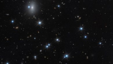 NASA’s Hubble telescope detects possible ‘dark galaxy’ NASA’s Hubble telescope detects possible ‘dark galaxy’