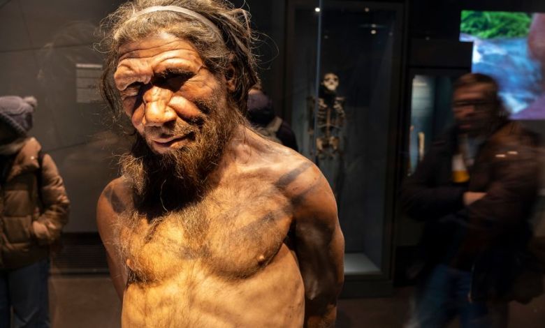 What happened when humans and Neanderthals hooked up What happened when humans and Neanderthals hooked up