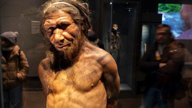 What happened when humans and Neanderthals hooked up What happened when humans and Neanderthals hooked up