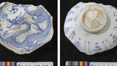 Record haul of rare Yuan Dynasty blue-and-white porcelain discovered at shipwreck off Singapore Record haul of rare Yuan Dynasty blue-and-white porcelain discovered at shipwreck off Singapore