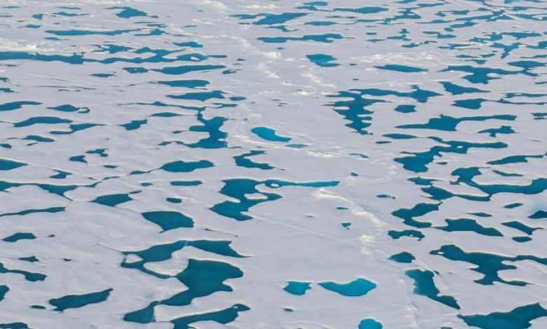 Arctic sea ice just dropped to an alarming new low Arctic sea ice just dropped to an alarming new low