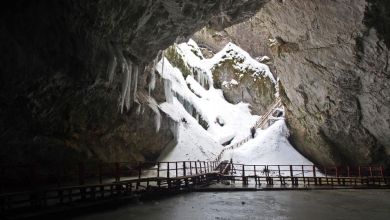 Ancient bacteria strain discovered in ice cave is resistant to some modern antibiotics Ancient bacteria strain discovered in ice cave is resistant to some modern antibiotics
