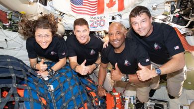 Why NASA sent ‘organ chips’ of the Artemis II crew into space Why NASA sent ‘organ chips’ of the Artemis II crew into space
