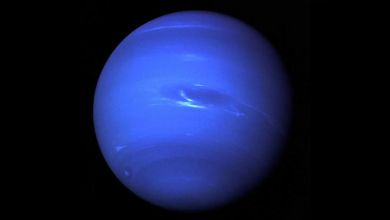Neptunian moon Nereid could be lone intact survivor from ancient satellite system Neptunian moon Nereid could be lone intact survivor from ancient satellite system