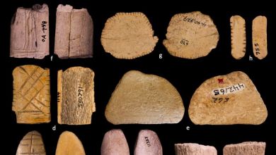 Prehistoric dice suggest that Native Americans may have been gaming since the last ice age Prehistoric dice suggest that Native Americans may have been gaming since the last ice age