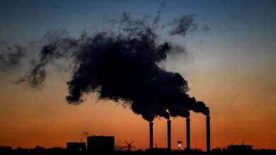 Germany barely meets climate targets in 2025, cuts emissions by 0.1% Germany barely meets climate targets in 2025, cuts emissions by 0.1%