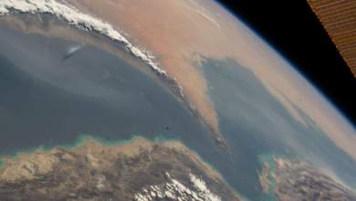 Strait of Hormuz shipping traffic almost at a standstill, UN says Strait of Hormuz shipping traffic almost at a standstill, UN says