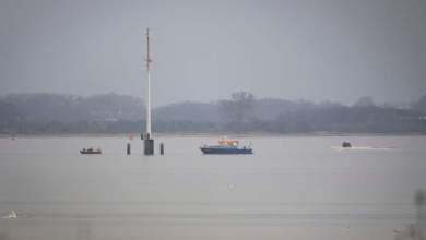 Whale stranded off Germany for days found stuck again Whale stranded off Germany for days found stuck again
