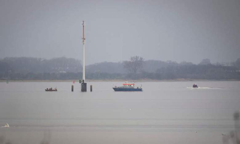 Whale stranded off Germany for days found stuck again Whale stranded off Germany for days found stuck again