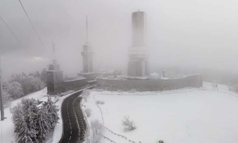 Snow clearing dispute in Germany escalates into machete attack Snow clearing dispute in Germany escalates into machete attack