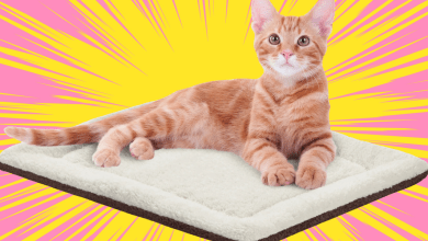 This Self-Warming Pet Mat Is ‘Fur Baby-Approved,’ According To Reviewers This Self-Warming Pet Mat Is ‘Fur Baby-Approved,’ According To Reviewers