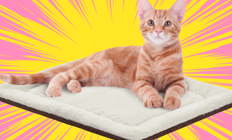 This Self-Warming Pet Mat Is ‘Fur Baby-Approved,’ According To Reviewers This Self-Warming Pet Mat Is ‘Fur Baby-Approved,’ According To Reviewers