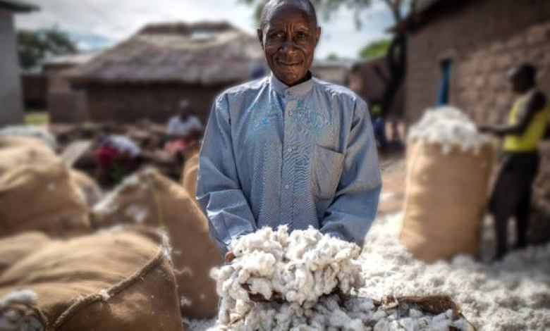 Aid by Trade verified cotton network hits record growth Aid by Trade verified cotton network hits record growth