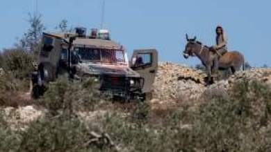 UN says more than 36,000 Palestinians displaced by Israeli settlement drive UN says more than 36,000 Palestinians displaced by Israeli settlement drive