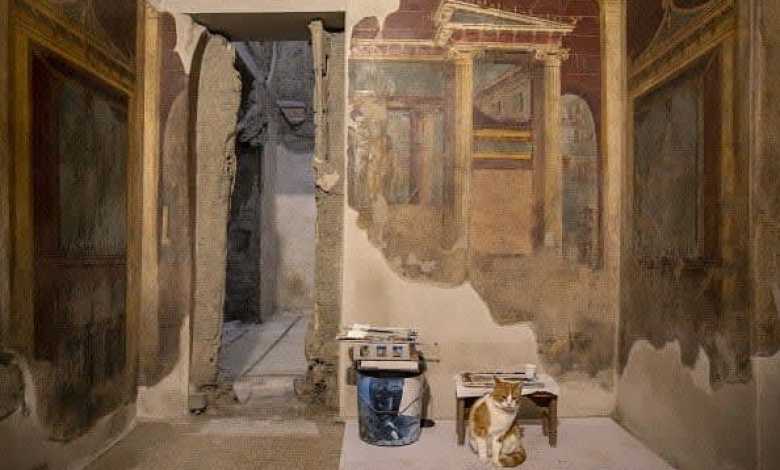 Frescos of a peacock, fruit discovered in Roman villa near Pomepii belonging to Emperor Nero’s wife Frescos of a peacock, fruit discovered in Roman villa near Pomepii belonging to Emperor Nero’s wife