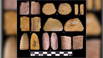 Native American use of dice, probability predates currently known Old World dice by millenia Native American use of dice, probability predates currently known Old World dice by millenia