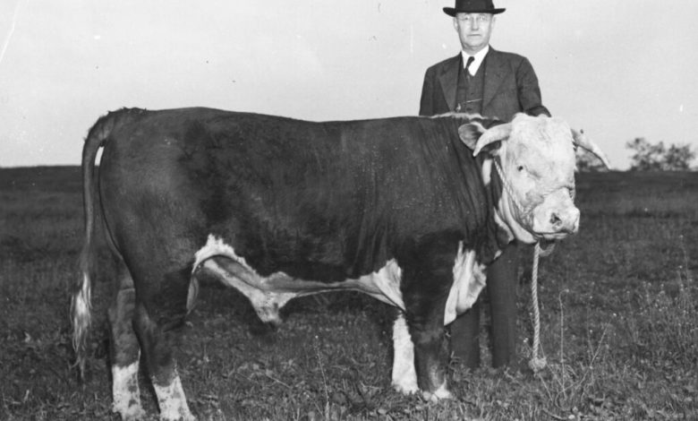 Free tuition for older Kentuckians is in peril Free tuition for older Kentuckians is in peril