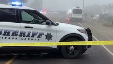 Man and his dog stabbed in Parkland, deputies involved in shooting with suspect Man and his dog stabbed in Parkland, deputies involved in shooting with suspect