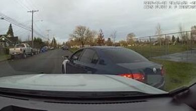 Domestic violence suspect leads police on chase in Tacoma Domestic violence suspect leads police on chase in Tacoma