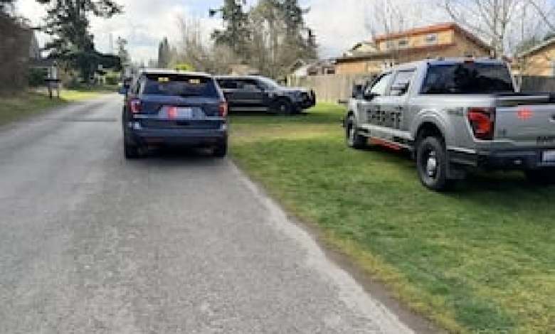 Bellevue hit-and-run suspect arrested in Jefferson County Bellevue hit-and-run suspect arrested in Jefferson County