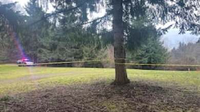 Police investigate death after body discovered in Bradley Lake Park in Puyallup Police investigate death after body discovered in Bradley Lake Park in Puyallup