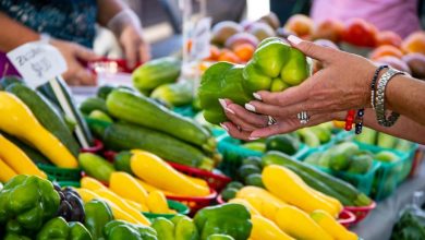 Little Italy Mercato brings fresh food and community to downtown San Diego Little Italy Mercato brings fresh food and community to downtown San Diego