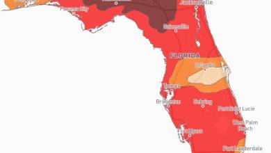 Fire weather watch issued for 12 Florida counties. What to know Fire weather watch issued for 12 Florida counties. What to know