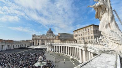 Catholics may receive organ transplants from animals, Vatican says Catholics may receive organ transplants from animals, Vatican says