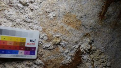 Hand stencil in Indonesian cave seen as the oldest-known rock art Hand stencil in Indonesian cave seen as the oldest-known rock art