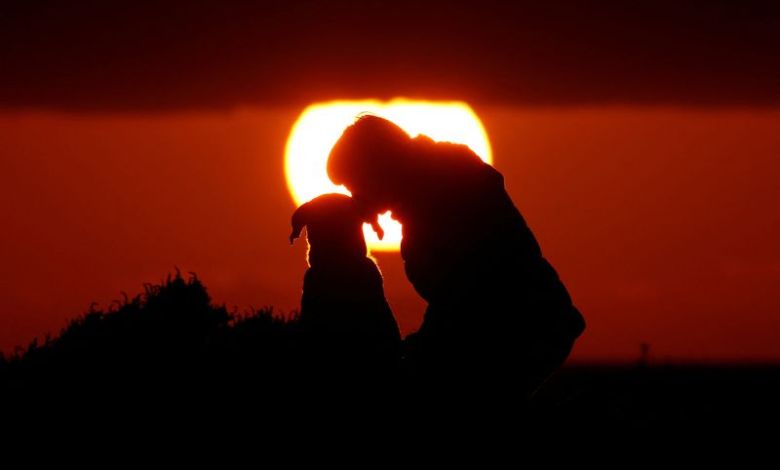 Genetic study identifies earliest-known dog, dating to 15,800 years ago Genetic study identifies earliest-known dog, dating to 15,800 years ago