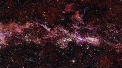 Vast web of cold gas observed at the heart of the Milky Way Vast web of cold gas observed at the heart of the Milky Way