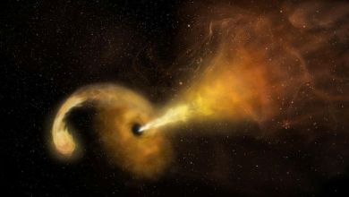 Black hole continues to belch years after chewing up a star Black hole continues to belch years after chewing up a star
