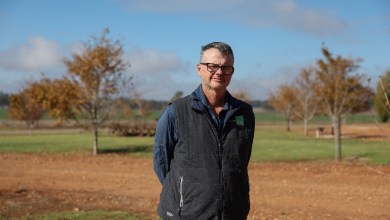 Australia’s farmers, hit by Iran war costs and dry weather, grow less wheat Australia’s farmers, hit by Iran war costs and dry weather, grow less wheat