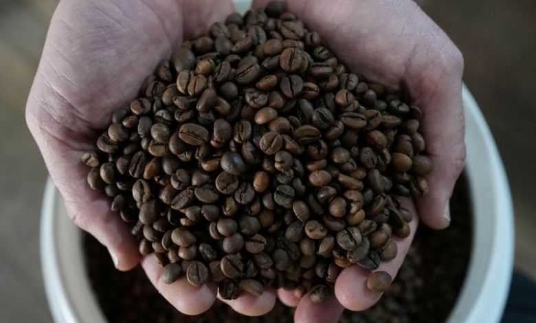 Brazil’s producers of canephora coffees, including robusta, expand into new territory Brazil’s producers of canephora coffees, including robusta, expand into new territory