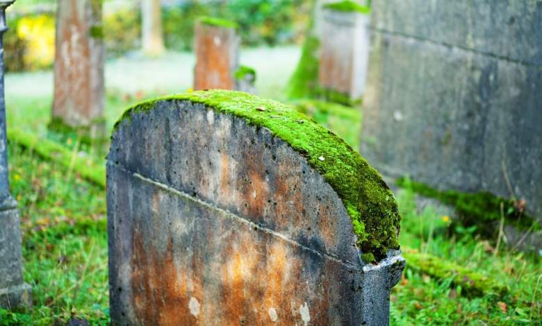 A Piece of Moss Helped Investigators Prosecute a Grave-Robbing Ring A Piece of Moss Helped Investigators Prosecute a Grave-Robbing Ring