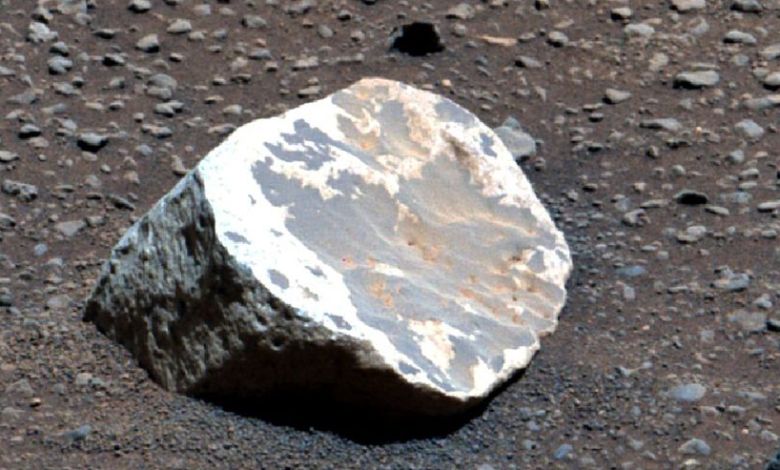 ‘But where did they come from? ‘But where did they come from?