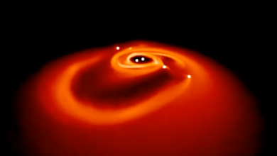 Is Tatooine the norm? Planets may prefer living with two suns instead of one Is Tatooine the norm? Planets may prefer living with two suns instead of one