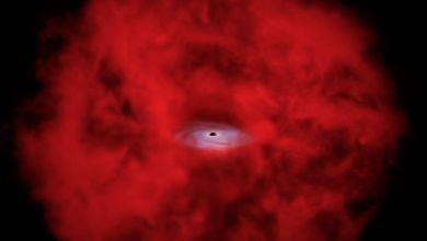 James Webb Space Telescope’s strange little red dots may really be ‘black hole stars’, X-ray data suggests James Webb Space Telescope’s strange little red dots may really be ‘black hole stars’, X-ray data suggests